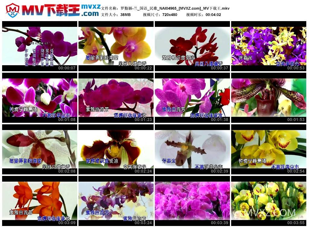 罗勤颖-兰_国语_民歌_NAI04965